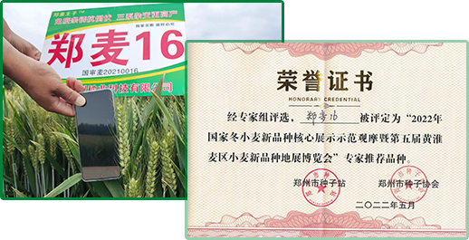 完善的客戶服務和技術支持